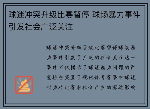 球迷冲突升级比赛暂停 球场暴力事件引发社会广泛关注 球迷冲突升级比赛暂停 球场暴力事件引发社会广泛关注
